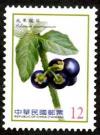 Colnect-1854-148-Solanum-americanum.jpg