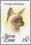 Colnect-4221-167-Chocolate-point-Siamese.jpg