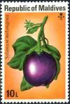 Colnect-5403-070-Solanum-melongena.jpg