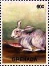 Colnect-5983-343-Rabbit-Oryctolagus-cuniculus-f-domestica.jpg