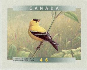 Colnect-1248-060-American-Goldfinch-Carduelis-tristis.jpg