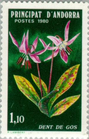 Colnect-141-970-Dog-s-tooth-violet---Erythronium-dens-canis.jpg