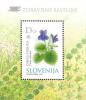 Colnect-699-063-Sweet-Violet-Viola-odorata---Medicinal-Plants.jpg