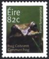 Colnect-1325-665-European-Common-Frog-Rana-temporaria.jpg