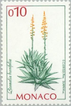 Colnect-149-843-Bromelia-brevifolia.jpg