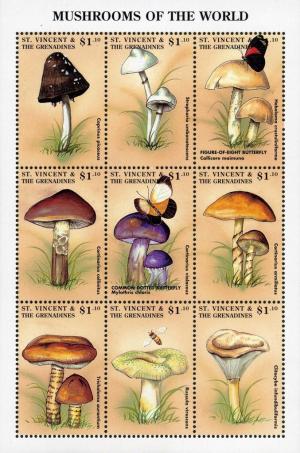 Colnect-1764-311-Mushrooms-of-the-world-sheet.jpg