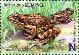Colnect-3018-563-European-Common-Frog-Rana-temporaria.jpg
