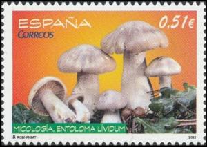 Colnect-5498-040-Entoloma-lividum-Mushroom.jpg