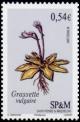 Colnect-878-862-Common-Butterwort.jpg
