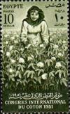 Colnect-1281-979-International-Cotton-Congress---Woman-Picking-Cotton.jpg