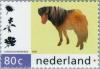 Colnect-180-213-Shetland-Pony-Equus-ferus-caballus.jpg