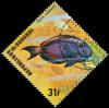 Colnect-3310-810-Ocean-Surgeonfish-Acanthurus-bahianus.jpg