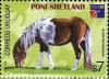 Colnect-491-738-Shetland-Pony-Equus-ferus-caballus.jpg