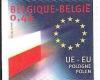 Colnect-567-472-European-Union---Flag-of-Poland-Selfadh.jpg