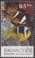 Colnect-1855-937-Twoband-Anemonefish-Amphiprion-bicinctus.jpg
