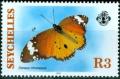 Colnect-2547-550-African-Monarch-Danaus-chrysippus.jpg