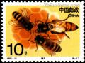 Colnect-603-148-Western-Honey-Bee-Apis-mellifera.jpg