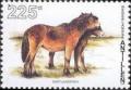 Colnect-960-104-Shetland-Pony-Equus-ferus-caballus.jpg