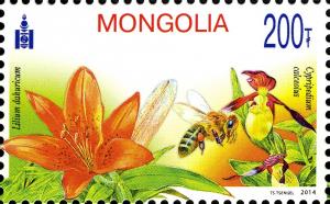 Colnect-2138-118-Mongolian-Flowers.jpg