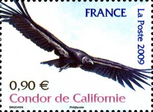 Colnect-4150-387-Californian-Condor-Gymnogyps-californianus.jpg