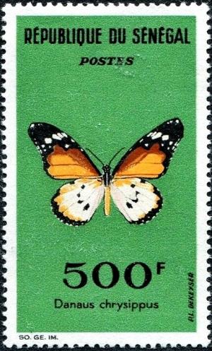 Colnect-5602-300-African-Monarch-Danaus-chrysippus.jpg