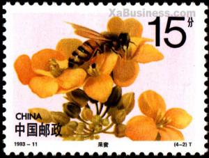 Colnect-603-149-Western-Honey-Bee-Apis-mellifera.jpg