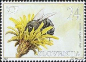 Colnect-697-348-Fauna-Honeybees---Worker-Bee.jpg