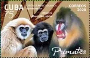 Colnect-7459-899-Monkeys-and-Baboon.jpg