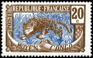 Stamp_Middle_Congo_1907_20c.jpg