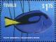 Colnect-3146-429-Palette-Surgeonfish-Paracanthurus-hepatus.jpg