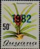 Colnect-4754-850-1982-on-Guzmania-Lingulata.jpg