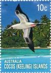 Colnect-2734-809-Red-footed-Booby-Sula-sula.jpg