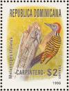 Colnect-3152-683-Hispaniolan-Woodpecker-Melanerpes-striatus.jpg