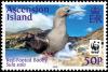 Colnect-3190-151-Red-footed-booby-Sula-sula.jpg