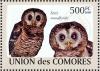 Colnect-3669-401-African-Wood-Owl%C2%A0Strix-woodfordii.jpg