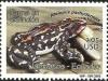 Colnect-3874-744-Schmidt-s-Stubfoot-Toad-Antelopus-pachydermus.jpg