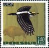 Colnect-4721-390-Eurasian-Three-toed-Woodpecker-Picoides-tridactylus-Europ.jpg