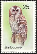Colnect-860-631-African-Wood-Owl-Strix-woodfordii.jpg