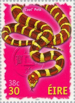Colnect-129-784-Cool-Pets---Snake.jpg