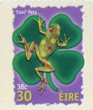 Colnect-129-791-Cool-Pets---Frog.jpg