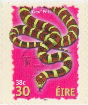 Colnect-129-793-Cool-Pets---Snake.jpg