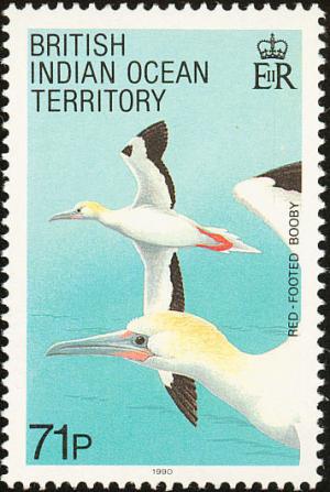 Colnect-1553-525-Red-footed-Booby-Sula-sula.jpg