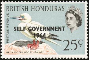 Colnect-1597-877-Red-footed-Booby-Sula-sula---Overprinted.jpg