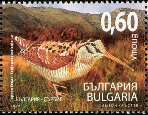 Colnect-1778-845-Eurasian-Woodcock-Scolopax-rusticola.jpg