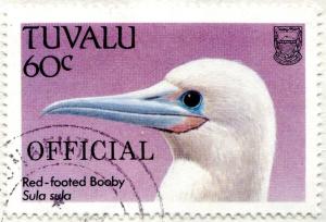 Colnect-4058-734-Red-footed-Booby-Sula-sula.jpg