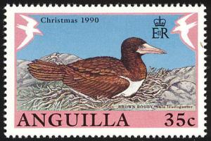 Colnect-579-807-Brown-Booby-Sula-leucogaster.jpg