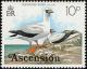 Colnect-1405-639-Red-footed-Booby-Sula-sula.jpg