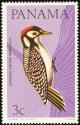 Colnect-1420-237-Black-cheeked-Woodpecker-Melanerpes-pucherani.jpg
