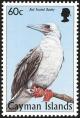Colnect-1776-862-Red-footed-Booby-Sula-sula.jpg