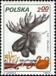 Colnect-1995-395-Moose-Alces-alces.jpg